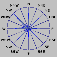 Wind Rose